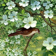 Cross stitch pattern: #220841