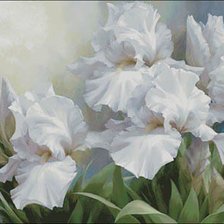 Cross stitch pattern: #222667