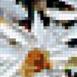 Preview of cross stitch pattern: #222861