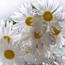 Cross stitch pattern: #222873