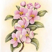 Cross stitch pattern: #223133