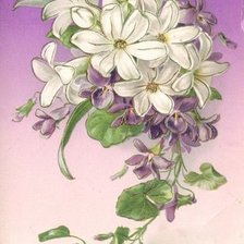 Cross stitch pattern: #223349