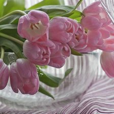 Cross stitch pattern: #223977