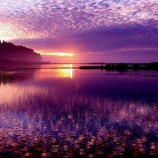 Cross stitch pattern: #225136