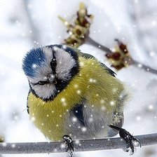 Cross stitch pattern: #225143