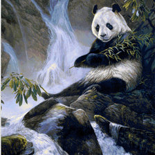 Cross stitch pattern: #226115