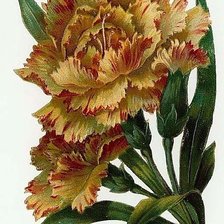 Cross stitch pattern: #226161