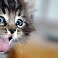 Cross stitch pattern: #226204