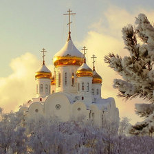 Cross stitch pattern: #226219