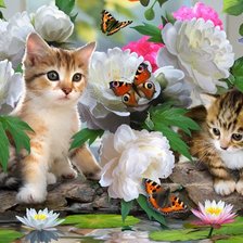 Cross stitch pattern: #226229