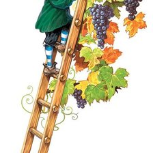 Cross stitch pattern: #226449