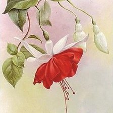 Cross stitch pattern: #227802