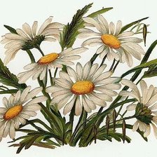 Cross stitch pattern: #227807