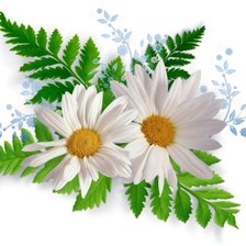 Cross stitch pattern: #227896