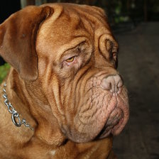 Cross stitch pattern: #228099