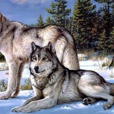 Cross stitch pattern: #229671
