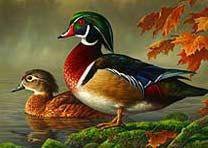 Cross stitch pattern: #229773