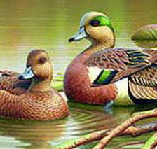 Cross stitch pattern: #229774