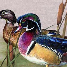Cross stitch pattern: #229775