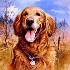 Cross stitch pattern: #229785