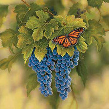 Cross stitch pattern: #229791