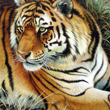 Cross stitch pattern: #229794