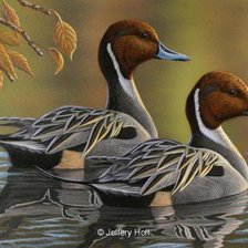 Cross stitch pattern: #229796