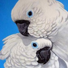 Cross stitch pattern: #229797
