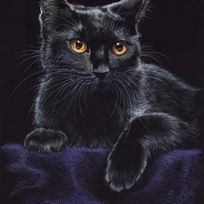 Cross stitch pattern: #229799