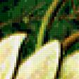 Preview of cross stitch pattern: #229801