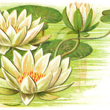 Cross stitch pattern: #229801