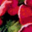 Preview of cross stitch pattern: #229808