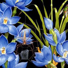 Cross stitch pattern: #229812