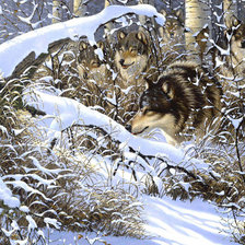 Cross stitch pattern: #229828