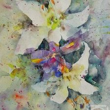 Cross stitch pattern: #231681