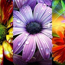 Cross stitch pattern: #232412