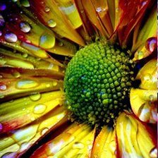 Cross stitch pattern: #232415