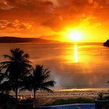 Cross stitch pattern: #234540