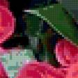 Preview of cross stitch pattern: #235263