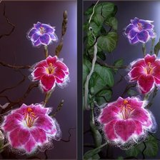 Cross stitch pattern: #235265