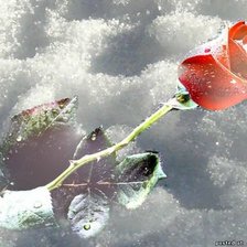 Cross stitch pattern: #235578