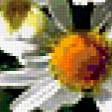 Preview of cross stitch pattern: #235580