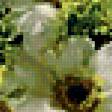 Preview of cross stitch pattern: #235583