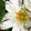 Preview of cross stitch pattern: #235606
