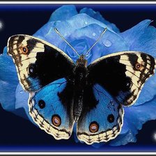 Cross stitch pattern: #235608