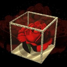 Cross stitch pattern: #235610