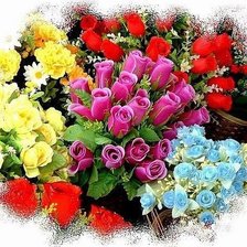 Cross stitch pattern: #235615