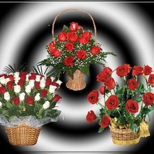 Cross stitch pattern: #235628