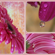 Cross stitch pattern: #235959