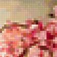 Preview of cross stitch pattern: #236153